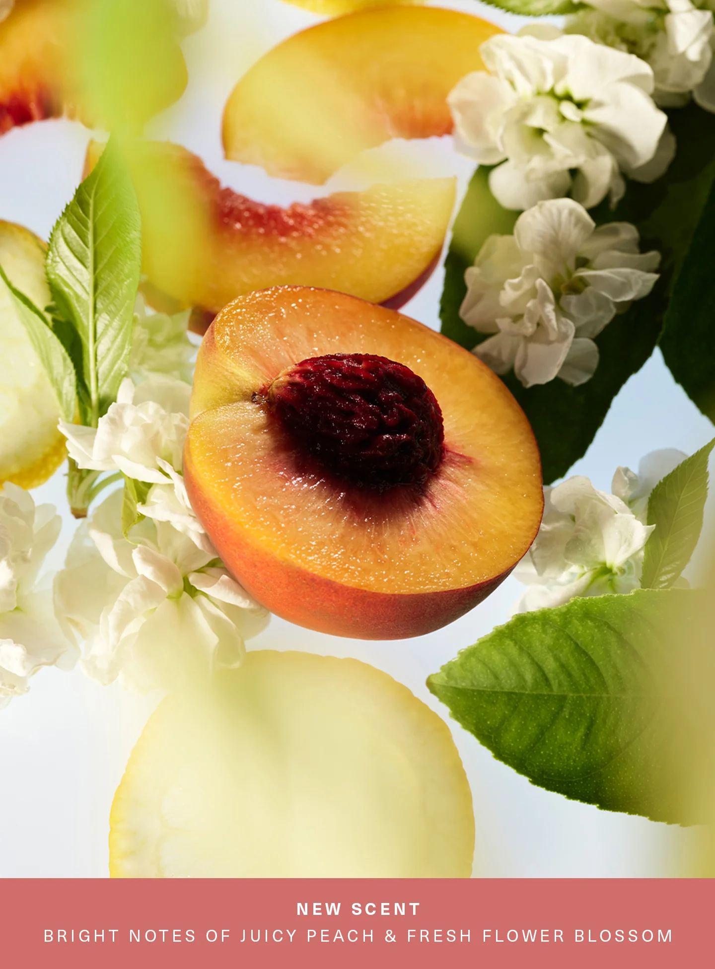 Find Comfort Bouncy Body Cream - Awaken Confidence - Image 3