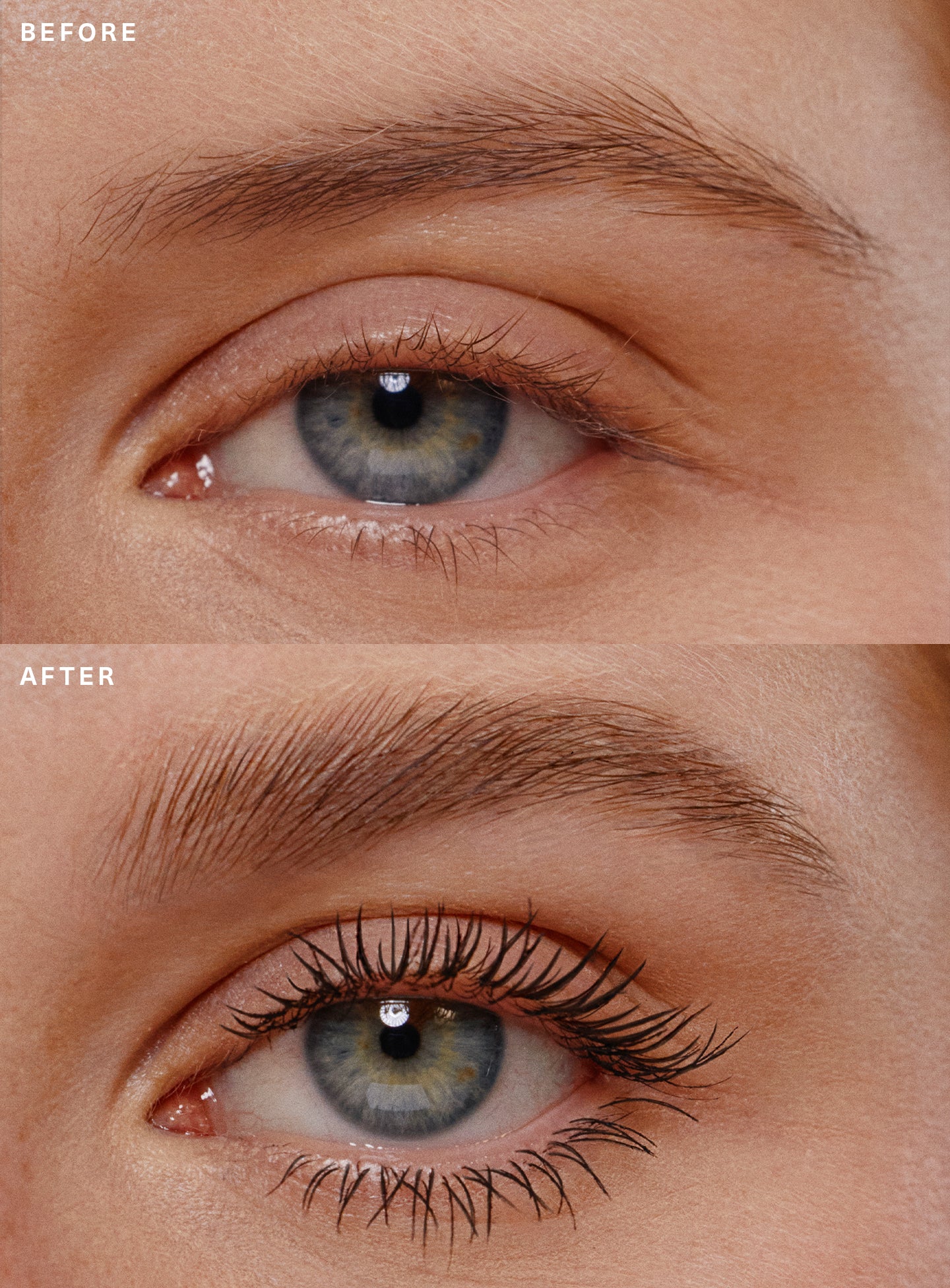 Mascara & Brow Gel Duo - Image 3